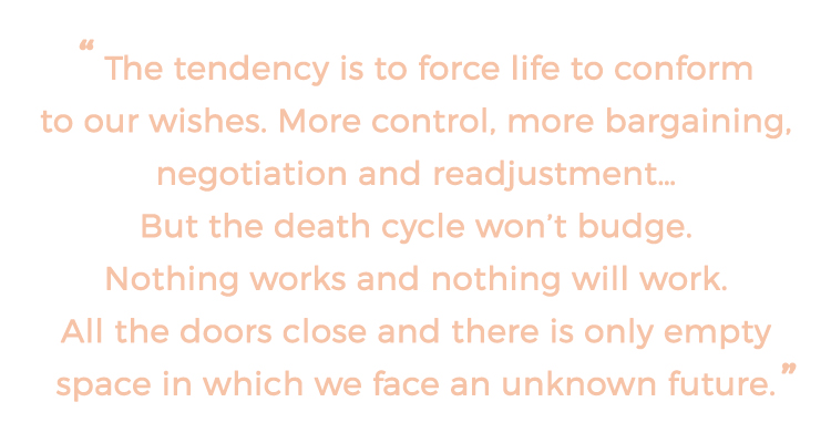 Quote from Allowing Magnificence. Peach writing against a white background stating:
The tendency is to force life to conform to our wishes. More control, more bargaining, negotiation and readjustment...
But the death cycle won't budge. Nothing works and nothing will work. All the doors close and there is only empty space in which we face an unknown future