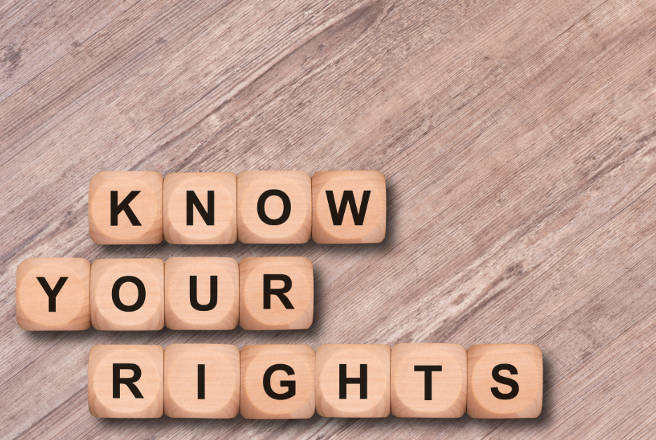 Wooden dice with letters spell out the phrase "Know Your Rights"