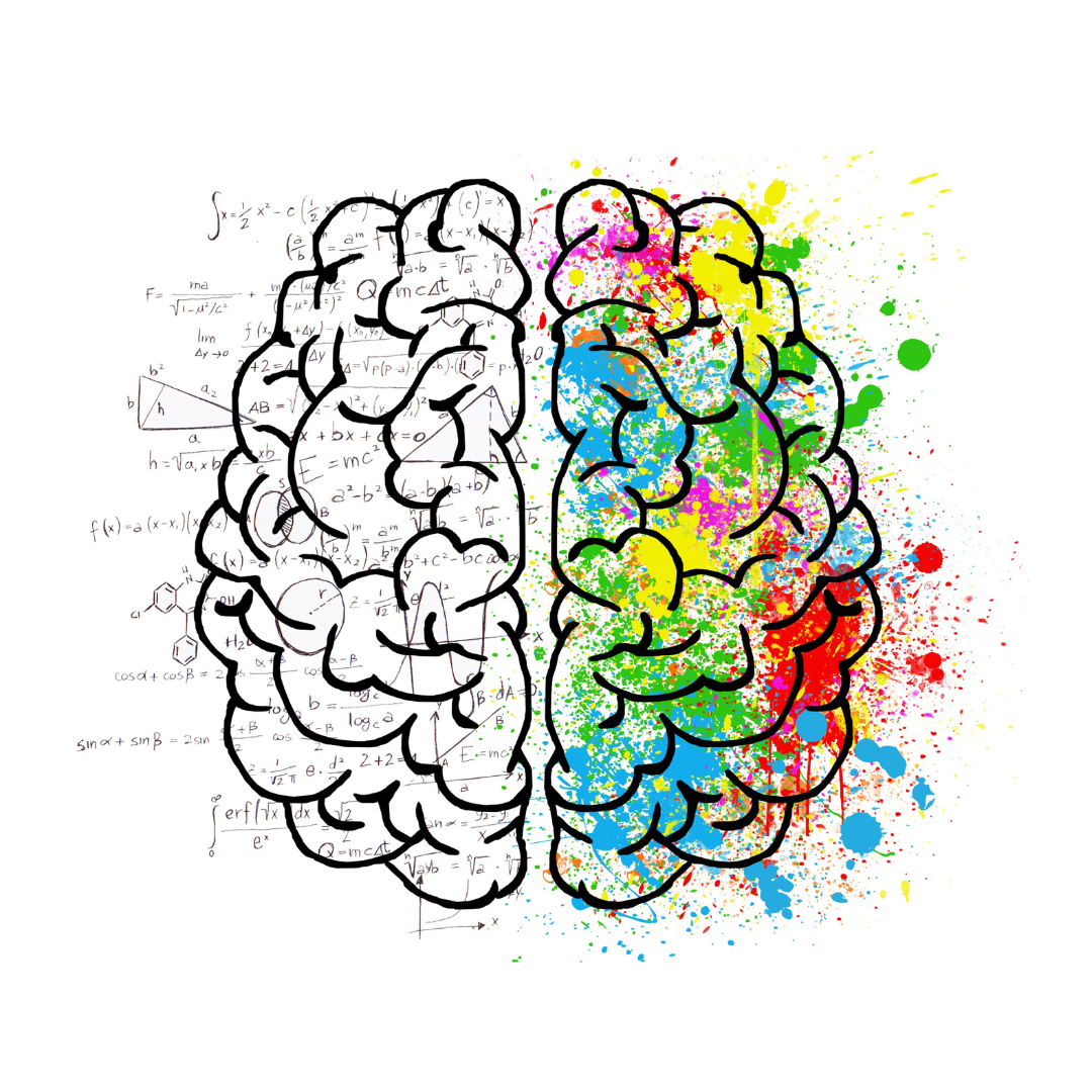 Drawing of the brain showing the difference between the left and right hemispheres. Written equations on the left hemisphere and splashes of colours on the right.