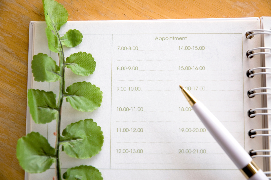 Close up of a therapy appointment planner on a desk with a sprig of green plant and a white pen