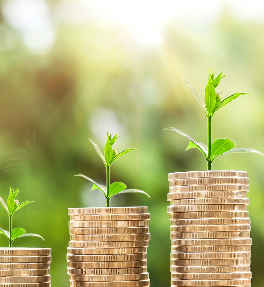 Three stacks of gold coins with plant shoots growing out of the top symbolising financial growth