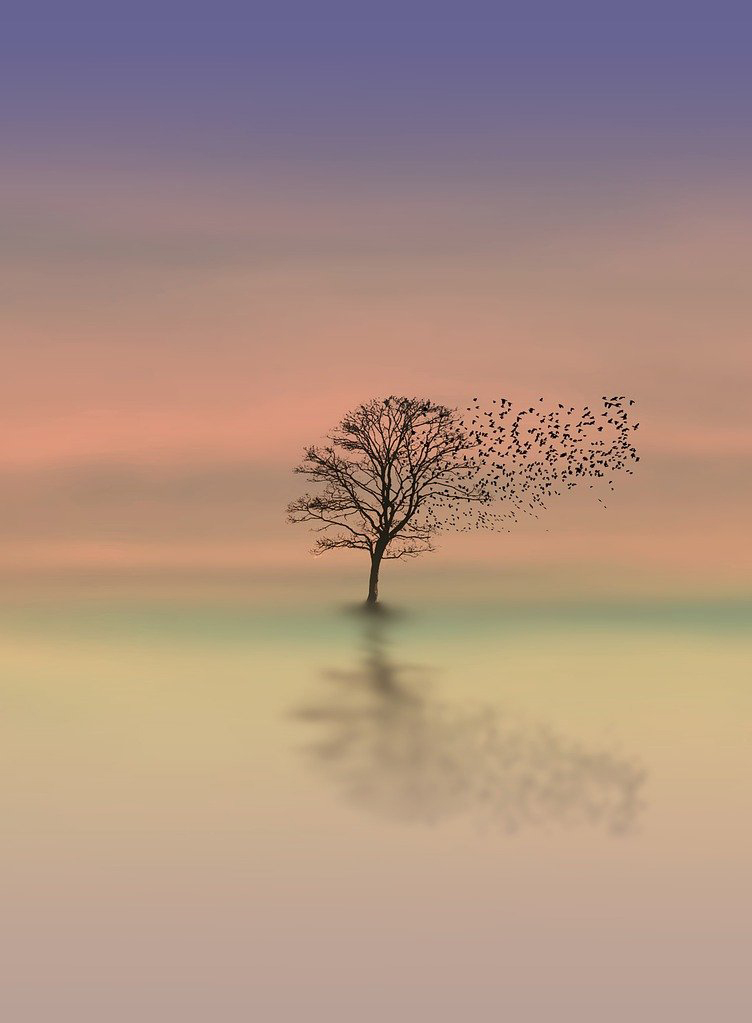 Birds flying from a winter tree on a misty morning