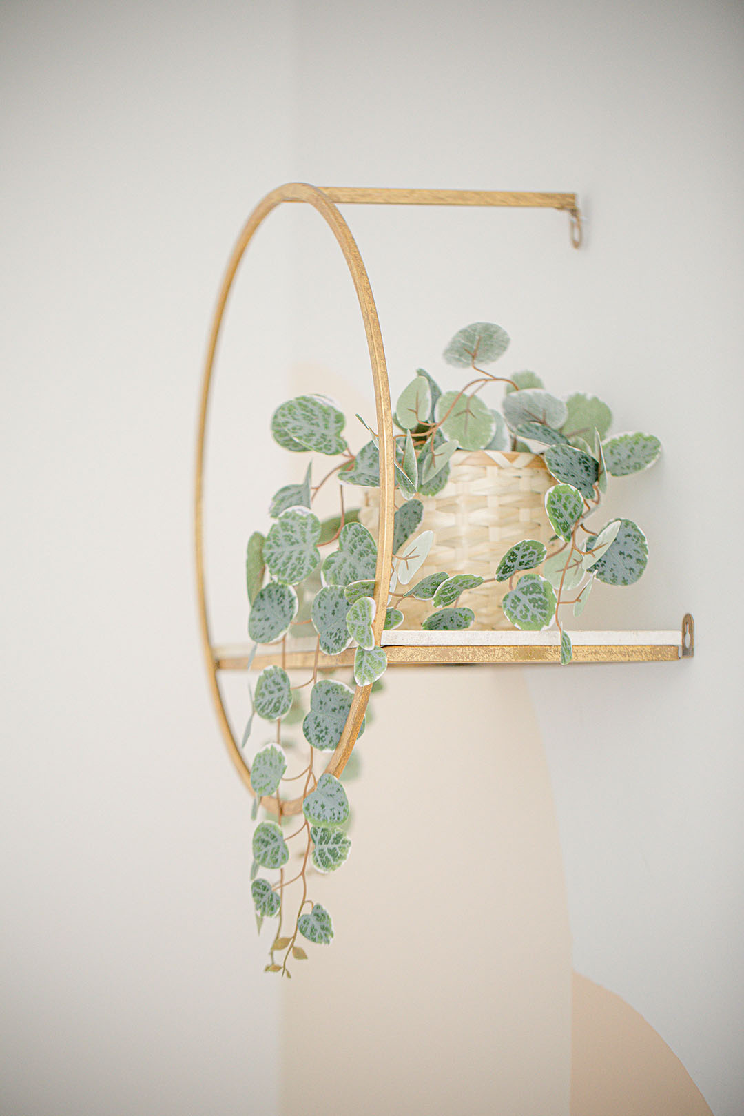 Gold shelf with a green vine house plant symbolising perfectionism in counselling