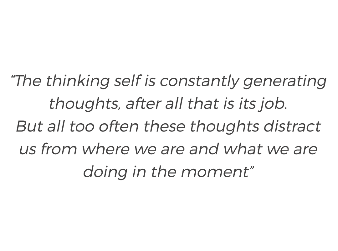 “The thinking self is constantly generating thoughts, after all that is its job. But all too often these thoughts distract us from where we are and what we are doing in the moment”