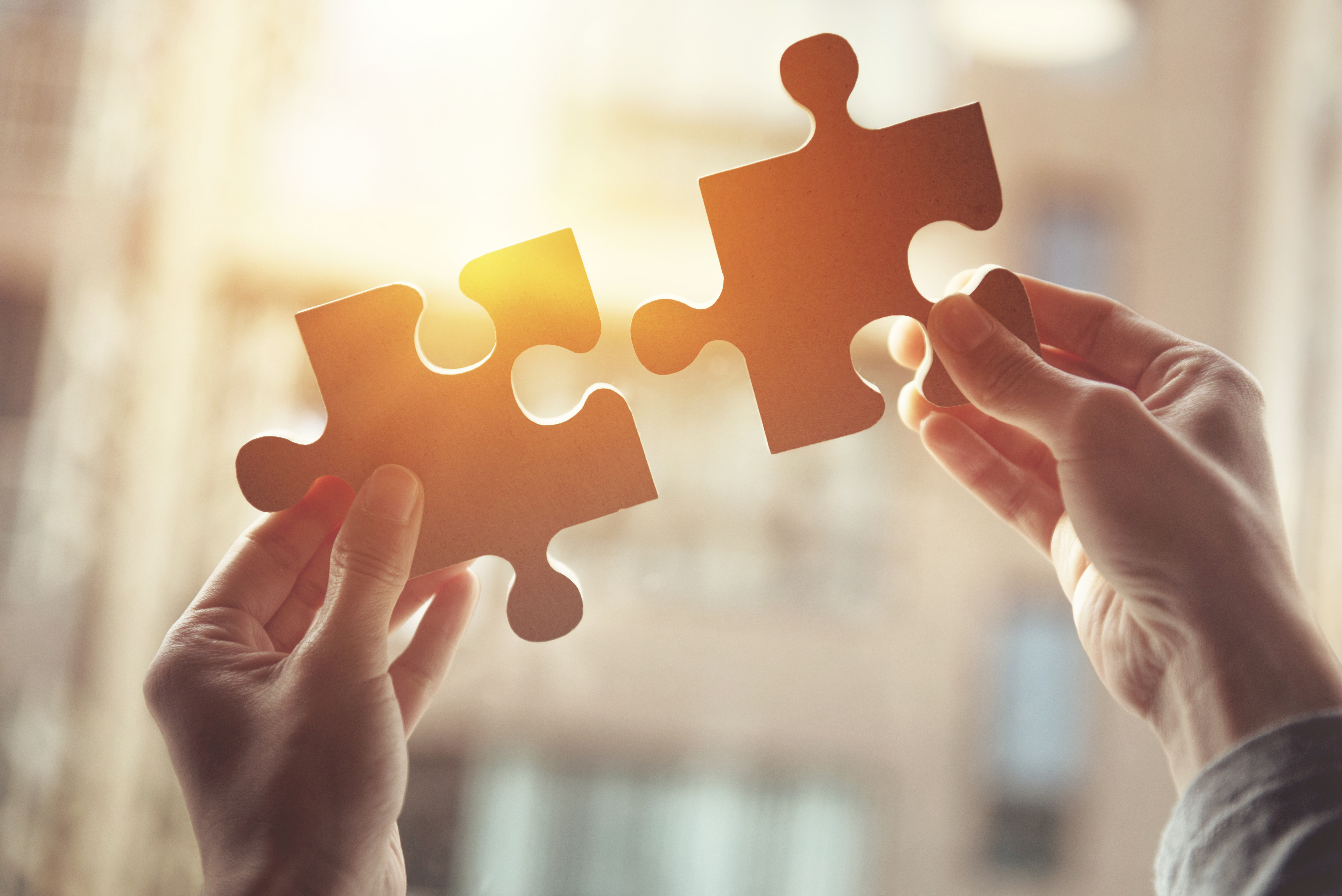 Female hands holing up two jigsaw pieces against the sunlight